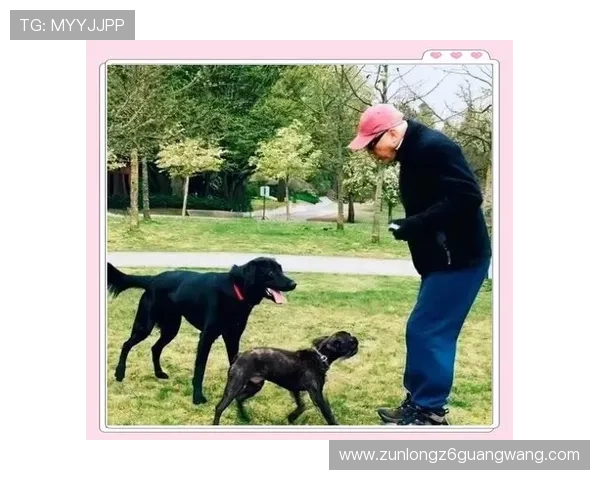 人生就是博尊龙ag：在虚拟与现实中找到人生的平衡与幸福感