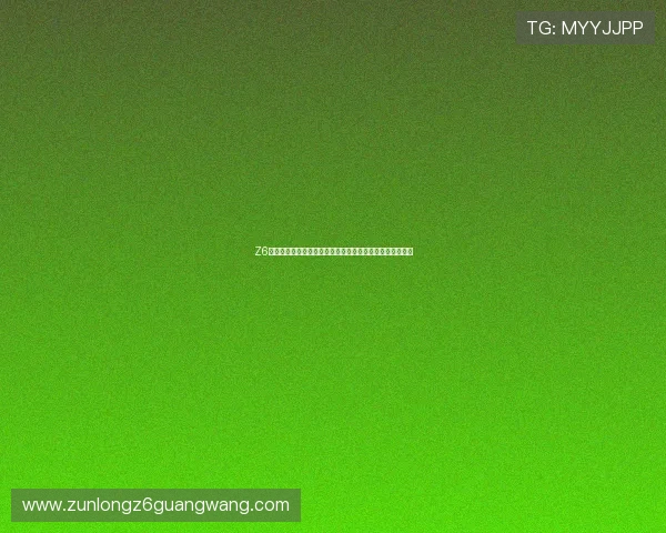 Z6尊龙国际首页安全保障措施全面提升确保玩家资金安全无忧