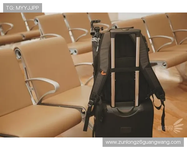 尊龙电子游戏网站支持多种支付方式，快速存取款体验让你畅快游戏无忧